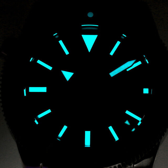 161.528.40 | 自動巻き