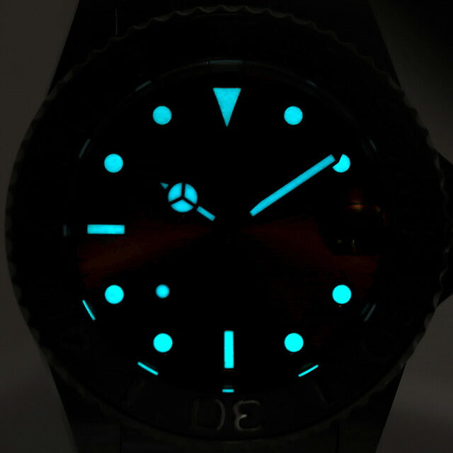 166.199.80 | 自動巻き