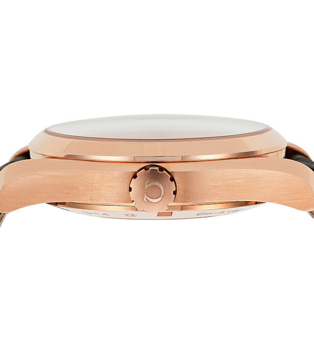 オメガ シーマスター アクアテラ 43mm 自動巻き 腕時計 ブランド メンズ OMEGA 231.53.43.22.02.001 アナログ シルバー ブラウン 231-53-43-22-02-001