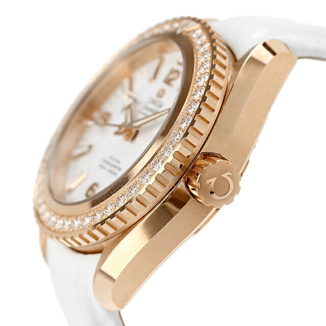 232.58.38.20.04.001 | シーマスター 自動巻き