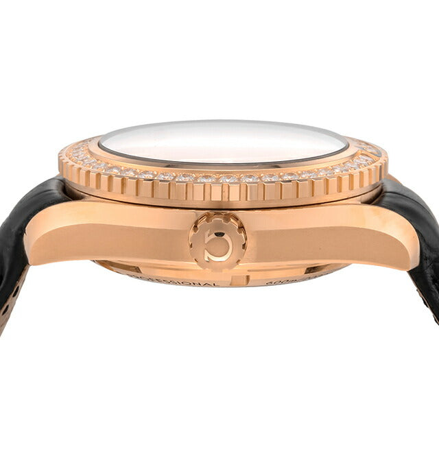 オメガ シーマスター プラネットオーシャン 42mm 自動巻き 腕時計 ブランド メンズ ダイヤモンド OMEGA 232.58.42.21.01.001 232-58-42-21-01-001