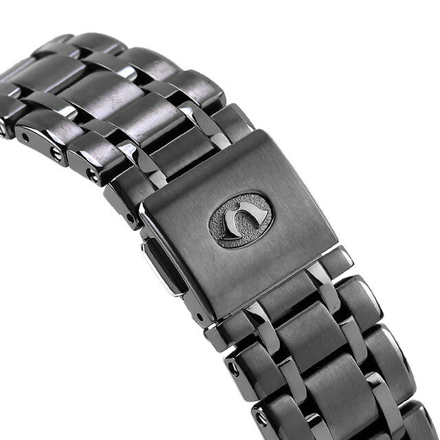 AH4084-51E | Citizen Campanola Grand Complication 25th Anniversary Limited Model "Hoshi no Hibiki" Quartz Battery Operated