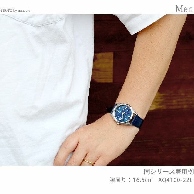 AQ4100-22L |公民太阳能