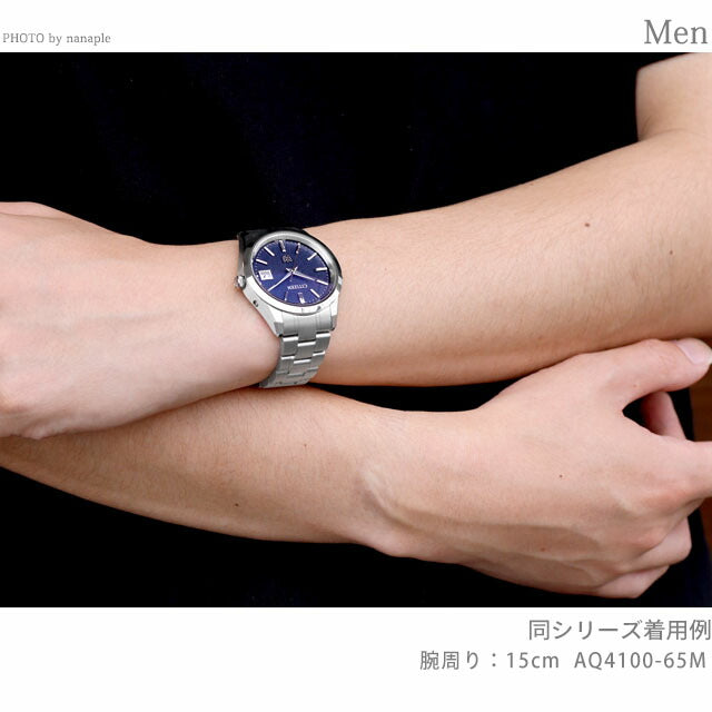AQ4100-65M | The Citizen Solar