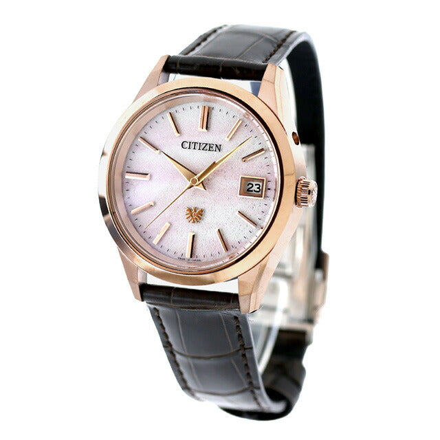 AQ4106-00A | The Citizen Solar