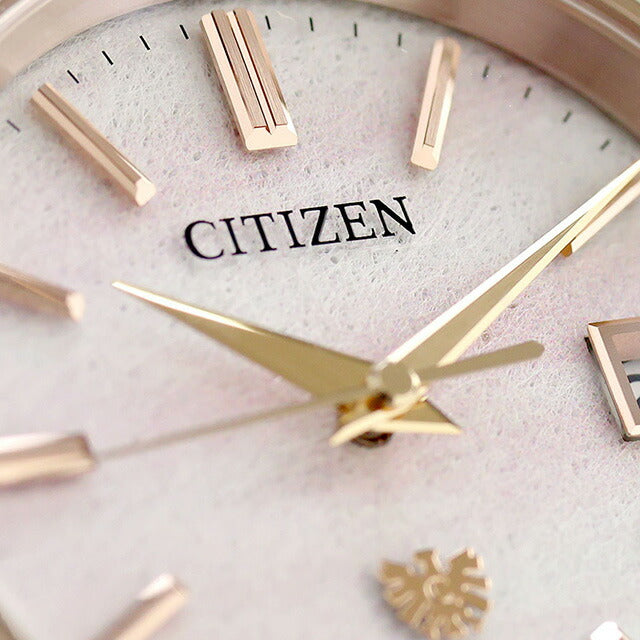 AQ4106-00A | The Citizen Solar