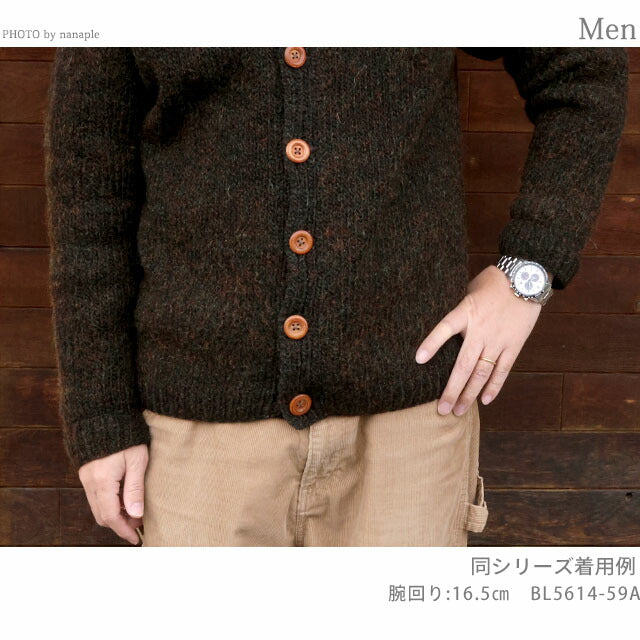 BL5614-59L | シチズンコレクション ソーラー