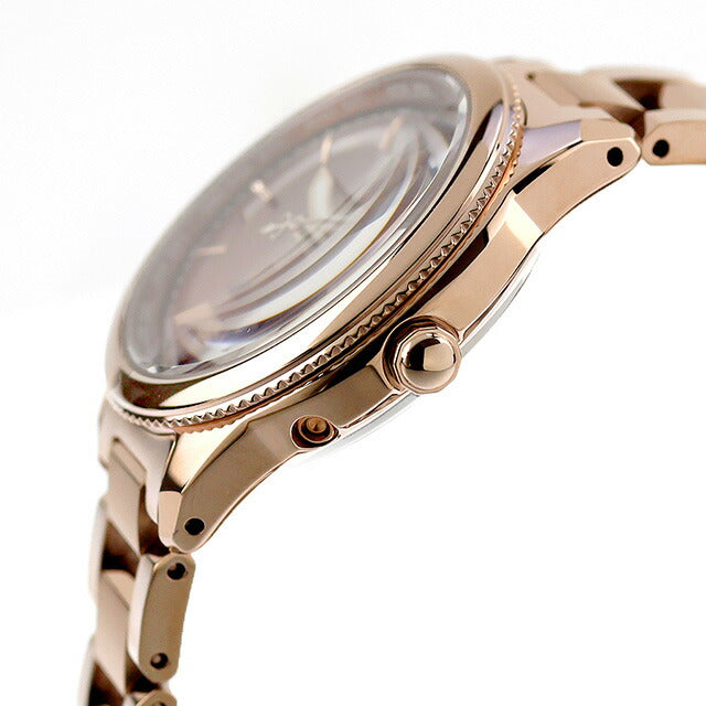 Citizen Cross Sea Daichi Collection Eco-Drive Radio Watch Brand Women&