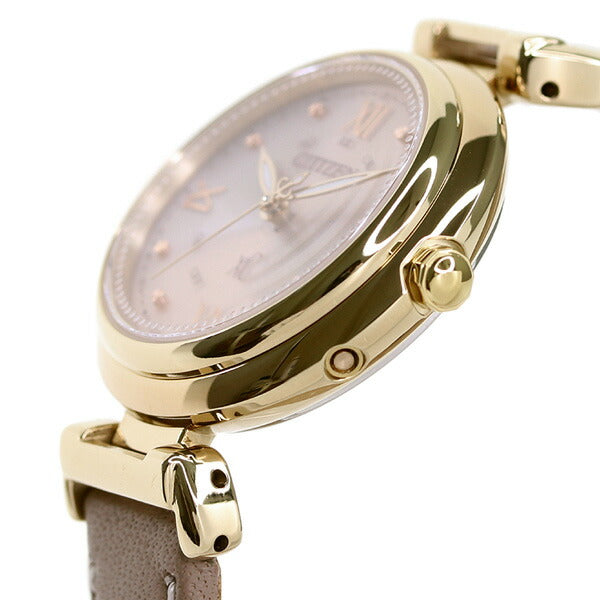 Citizen CrossCy Eco Drive Solar Radio Women&