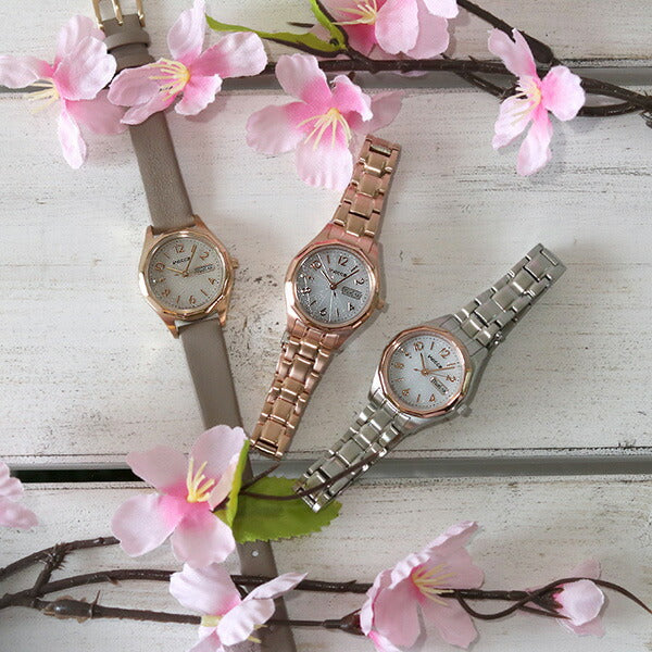 Citizen Wicca Day & Date Eco Drive Solar Women&