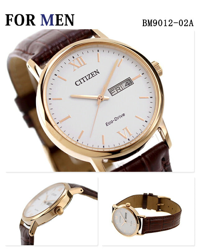 BM9012-02A / EW3252-07A | Citizen Collection Solar Pair Watch
