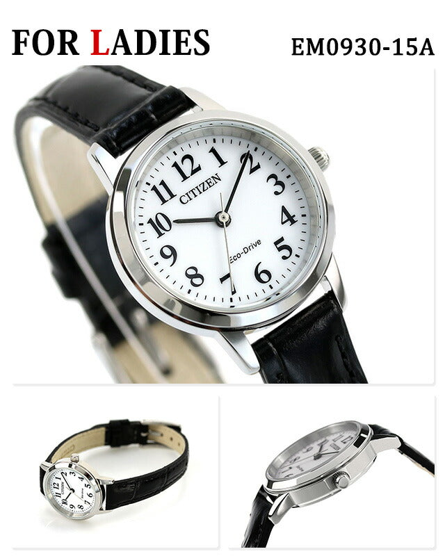Pair Watch Citizen Eco-Drive Solar Watch BJ6541-15A EM0930-15A CITIZEN pair-citizen36