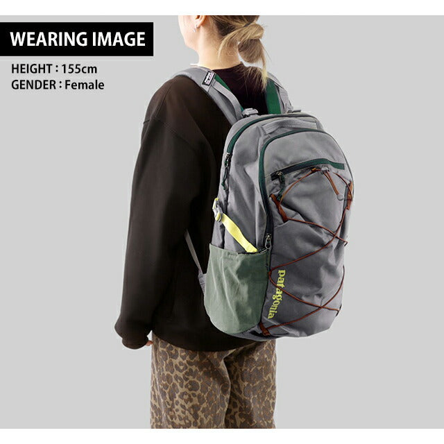 巴塔哥尼亚背包男士女士品牌 PATAGONIA Refugio Daypack 30L 背包背囊书包 47928 PATA-47928-NGRY