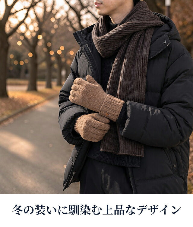 2026 Latest Polo Ralph Lauren Gloves Men&
