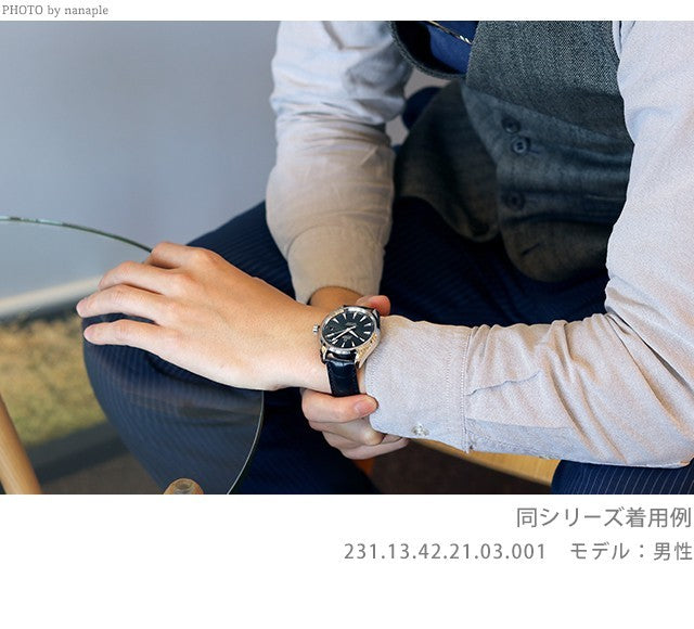 オメガ シーマスター アクアテラ 150M コーアクシャル クロノメーター 41.5mm 腕時計 ブランド メンズ 15,000ガウス OMEGA 231.12.42.21.01.001 231-12-42-21-01-001