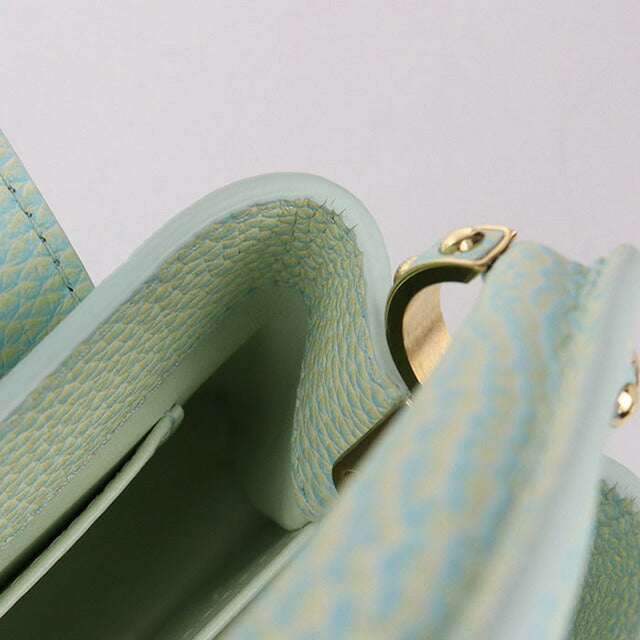 二手路易威登手提包 女士品牌 LOUIS VUITTON 夏季 Stardust Capucines MINI 2WAY M59850 绿色包 USDLV103467011