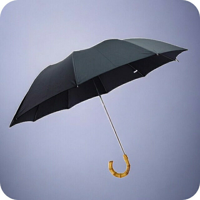 FOX UMBRELLAS RG3-WHAN-POLY-24FR-BR並行輸入品 FOX UMBRELLAS RG3-WHAN-POLY-24FR-DGR高級長傘