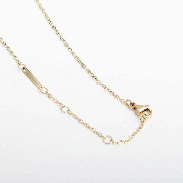 ダニエルウェリントン DANIEL WELLINGTON ELEVATION NECKLACE ネックレス DW00400266 レディース ゴールド WQ00051256