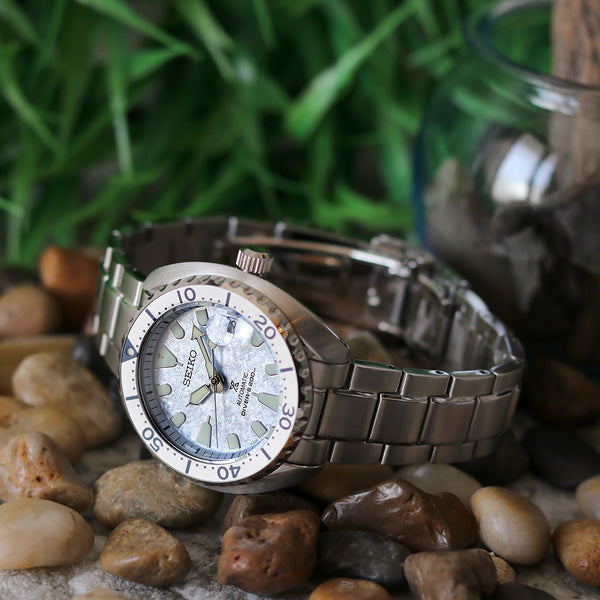 ダイバーにとってのウミガメ（TURTLE）は幸運の象徴⌚