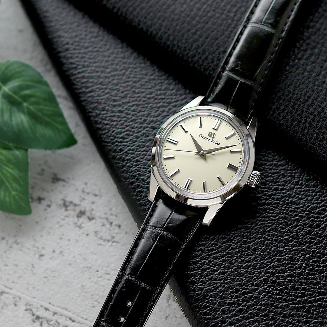 ベストセラーモデル「SBGW231」のアップデートモデルが登場✨⌚