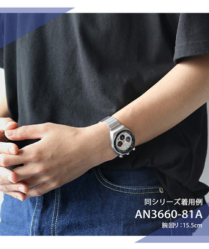 AN3660-81L ｜ レコードレーベル クオーツ