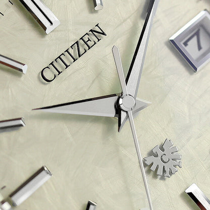 AQ4100-57C ｜ ザシチズン 30周年記念限定モデル 光発電エコドライブ