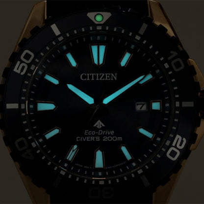 Citizen Promaster Marine Eco Drive Solar Watch Brand Men&