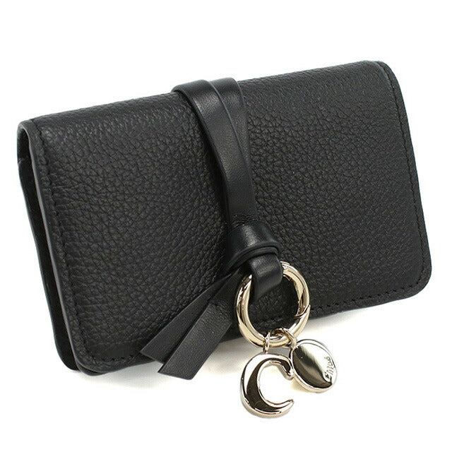 クロエ 名刺入れ レディース ブランド CHLOE スペイン CHC21WP015F57 BLACK ブラック 小物 CHL21WP015F57011