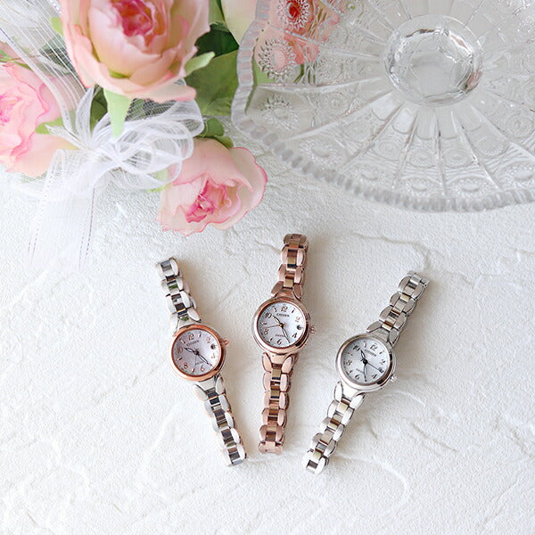 Citizen Exceed Eco Drive Solar Radio Titanium Women&