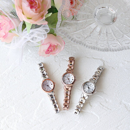 Citizen Exceed Eco Drive Solar Radio Titanium Women&