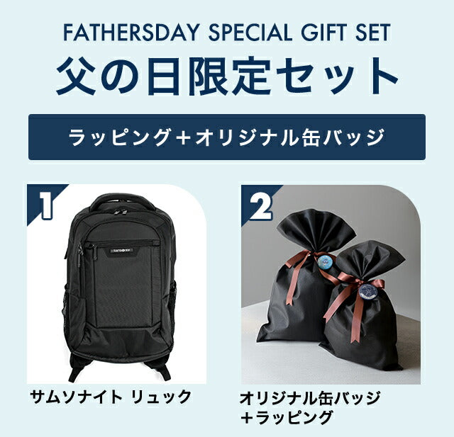 ＼父の日 ギフトセット／サムソナイト リュック メンズ Samsonite CLASSIC 2 ビジネス バックパック リュックサック スクールバッグ PCバッグ 141273-1041 選べるモデル FD-141273-1041