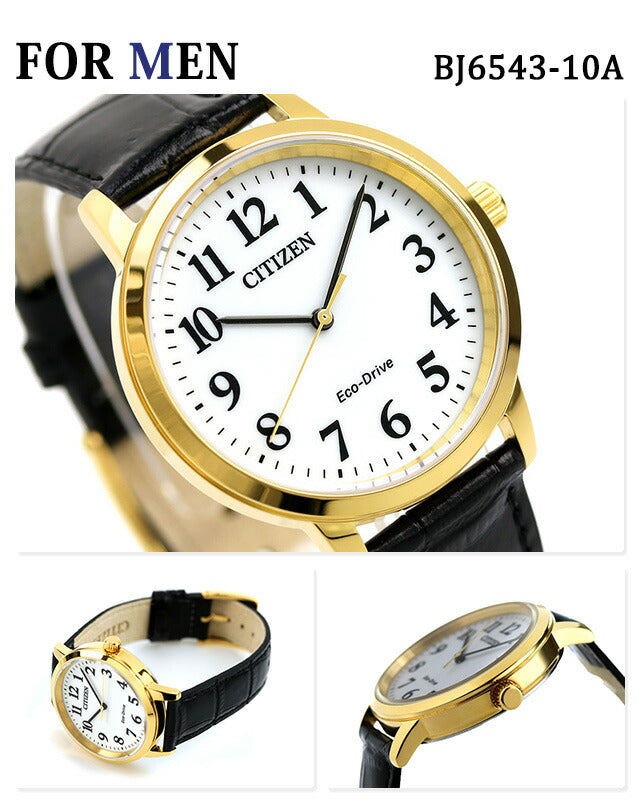 Pair Watch Citizen Eco-Drive Solar Watch BJ6543-10A EM0932-10A CITIZEN pair-citizen37