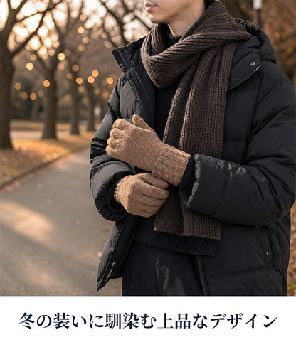 2026 Latest Polo Ralph Lauren Gloves Men&