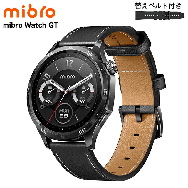SP380017-C240 ｜ ミブロ Watch GT ダークターニッシュ 充電式クォーツ