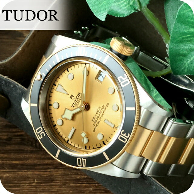 M79733N-0004 | Tudor Tudor Black Bay S&amp;G automatic winding