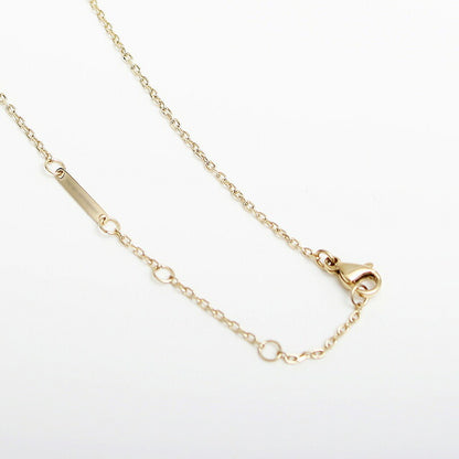 ダニエルウェリントン DANIEL WELLINGTON ELEVATION NECKLACE ネックレス DW00400266 レディース ゴールド WQ00051256