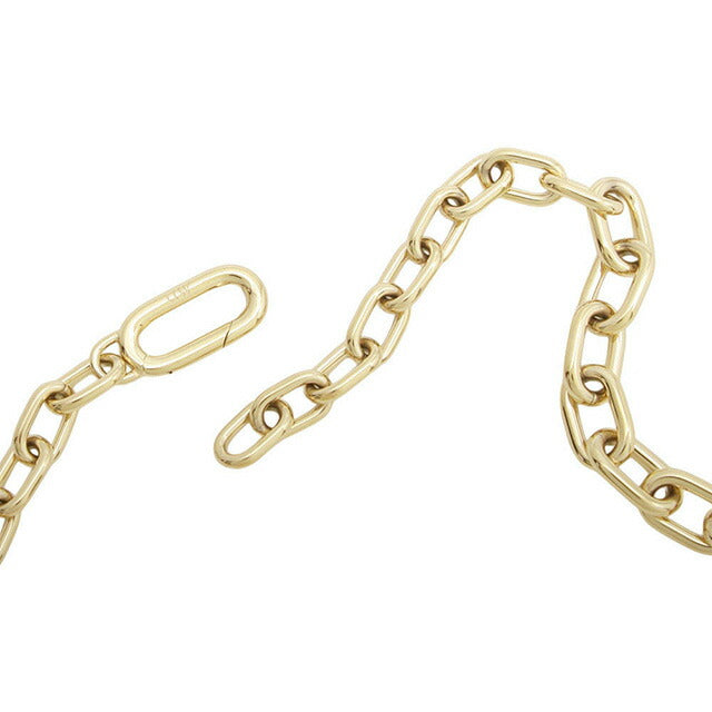 ダニエルウェリントン DANIEL WELLINGTON Crystal Link Necklace G ネックレス DW00400589 レディース ゴールド WQ00053464