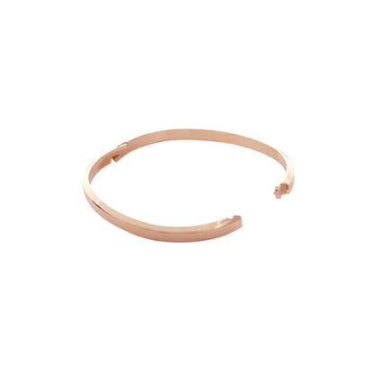 Daniel Wellington DANIEL WELLINGTON CLASSIC BANGLE Bangle DW00401654 Unisex WQ00056815